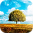 Awesome Land 2 LWP 2.2.0