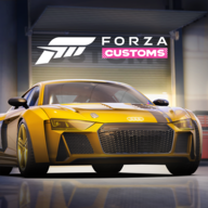 Forza Customs 6.0.14096