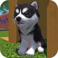 Cute Pocket Puppy 3D - Part 2 1.10.2