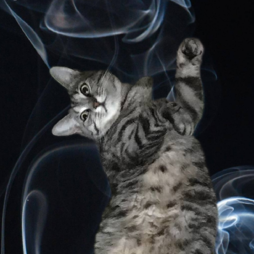 Кото-кликер