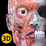 Анатомия - 3D Атлас 6.6.1