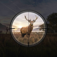 Hunting Sniper 3.02.1101