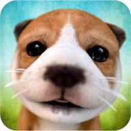 Dog Simulator 2015