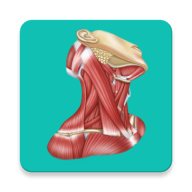 Easy Anatomy - Атлас & Тесты 1.9.4