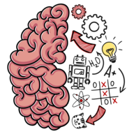 Brain Test 2.761.2