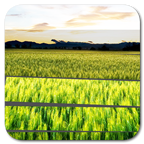 Xperia JB Lockscreen for ICS 1.3.0