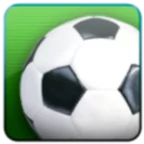 Striker Manager 0.82