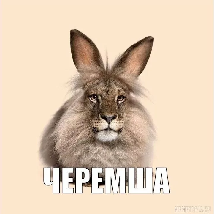 Cheremsha platformer — платформер про черемшу.