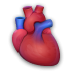 Google Body 1.2