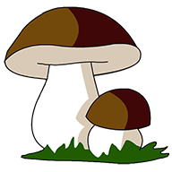 Справочник грибника 1.5.7