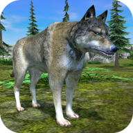 Wolf Simulator Evolution 1.0.69