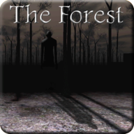 Slendrina: The Forest 1.0.8