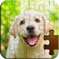 Jigsaw Puzzle — Classic Puzzle