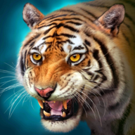 The Tiger 2.4.0