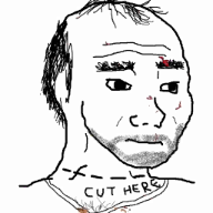 Meme Wars:multiplayer shooter
