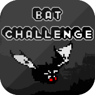 Bat Challenge 1.1.1