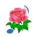 AmDm Lite 3.02