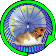 Hamster in a Wheel Desert 1.0