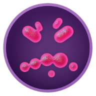 Superbugs: The game 1.0.3
