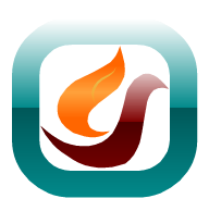 Firebird Browser — Super Fast 3.1.2