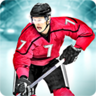 Pin Hockey - Ice Arena 1.2