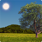 Nature Live Weather LWP 1.3.0