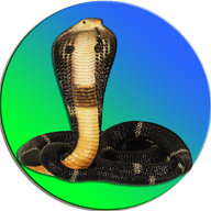 Змея На Экране Кобра Симулятор 3.0