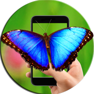 Бабочка На Экране В Телефоне 3.0