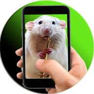 Мышь Симулятор Мышка На Экране 3.0