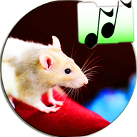 Звуки Мыши Дразнить Кота 1.0