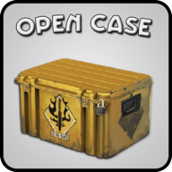 Open Case 2.24