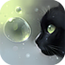 Curious Cat Lite 1.4.2