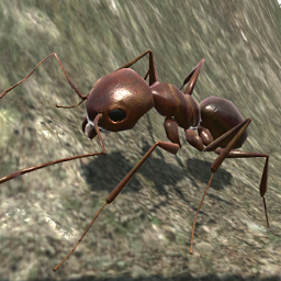 Ant Simulation 3D 2.3.5