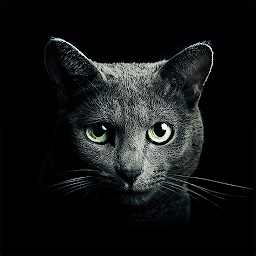 Найди кота 5.11.0