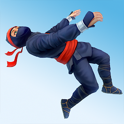 Ninja Flip 1.2.0