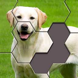 Hexa Jigsaw 106.03