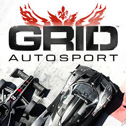 Grid Autosport 1.6