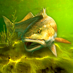My Fishing World 1.15.14