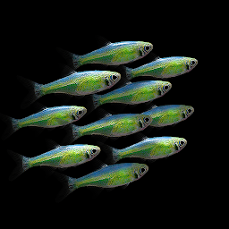 NANO AQUARIUM LWP 1.3