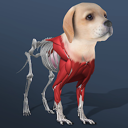 Idle Pet 7.3