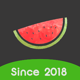 Melon VPN 8.1.206