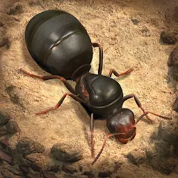 The Ants: Underground Kingdom 3.72.0