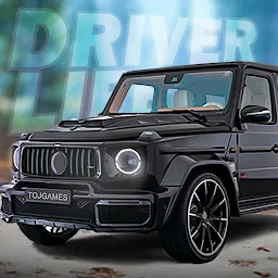 Driver Life 0.6