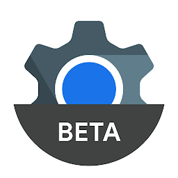 Android System WebView Beta 139.0.7258.3