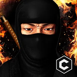 Ninja Assassin Stealth 27.0