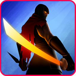 Ninja Raiden Revenge 3.0.3