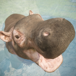 Hippo's World: A Daily Tale 1.0.1