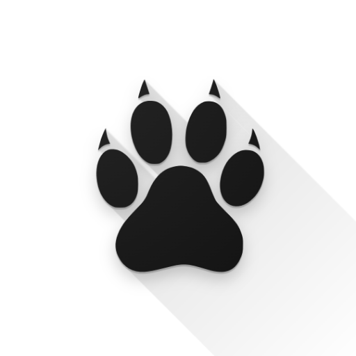 Amarok 0.9.3