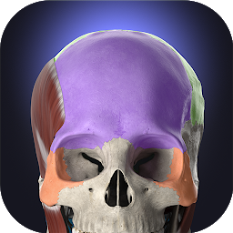 Anatomyka Atlas 3.3.0