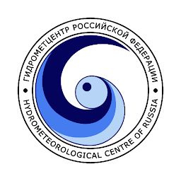 Погода Гидрометцентр России 1.1.24